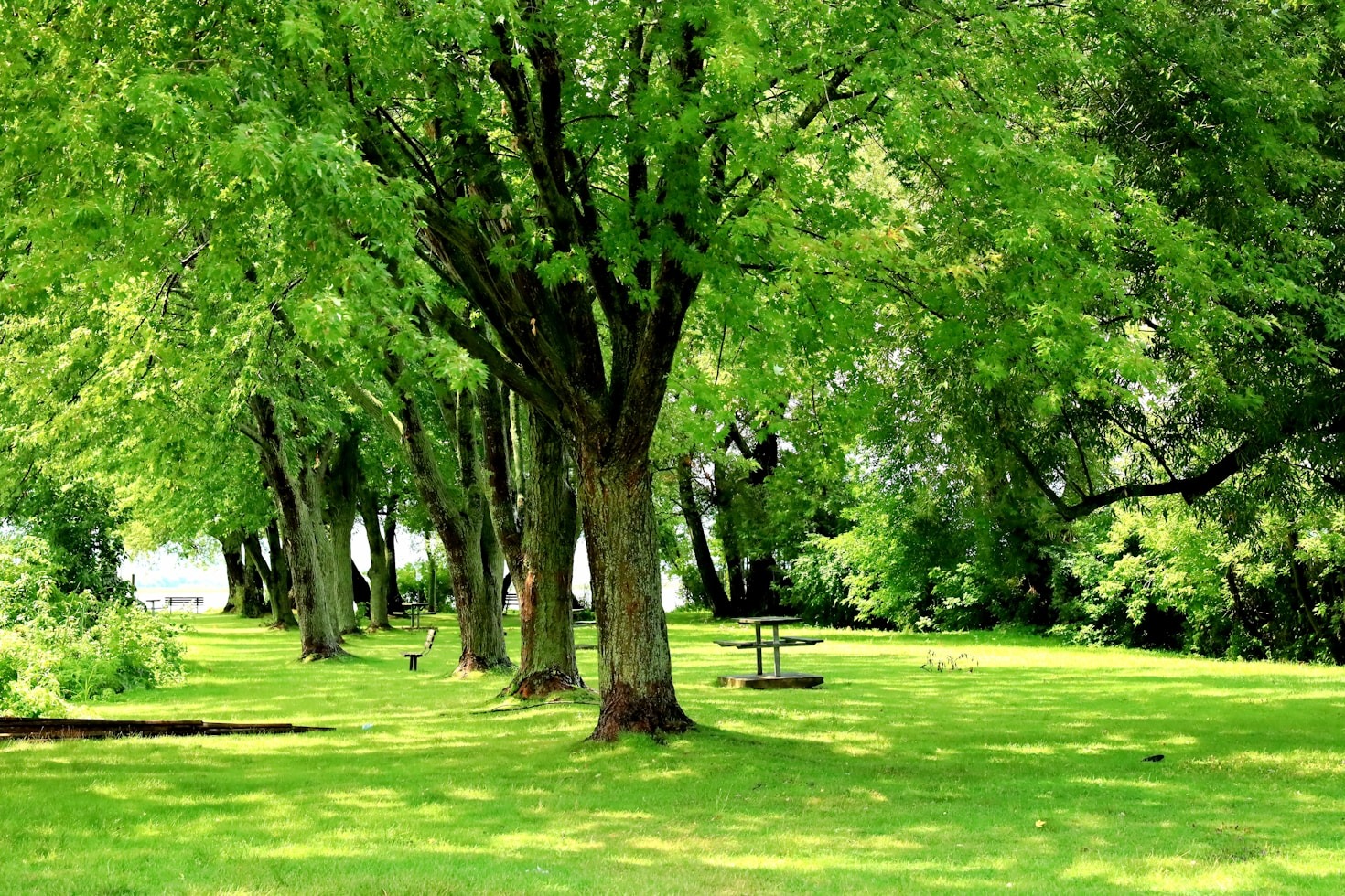 Top Lawn Maintenance Tips for Northwest San Antonio