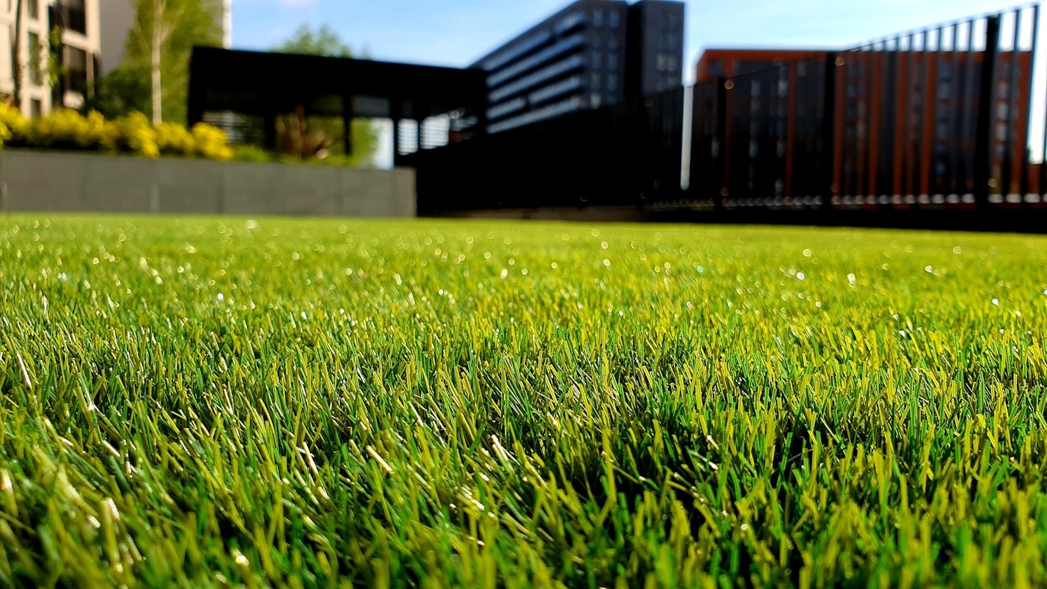 Understanding Aeration: Why Your Lawn Needs It