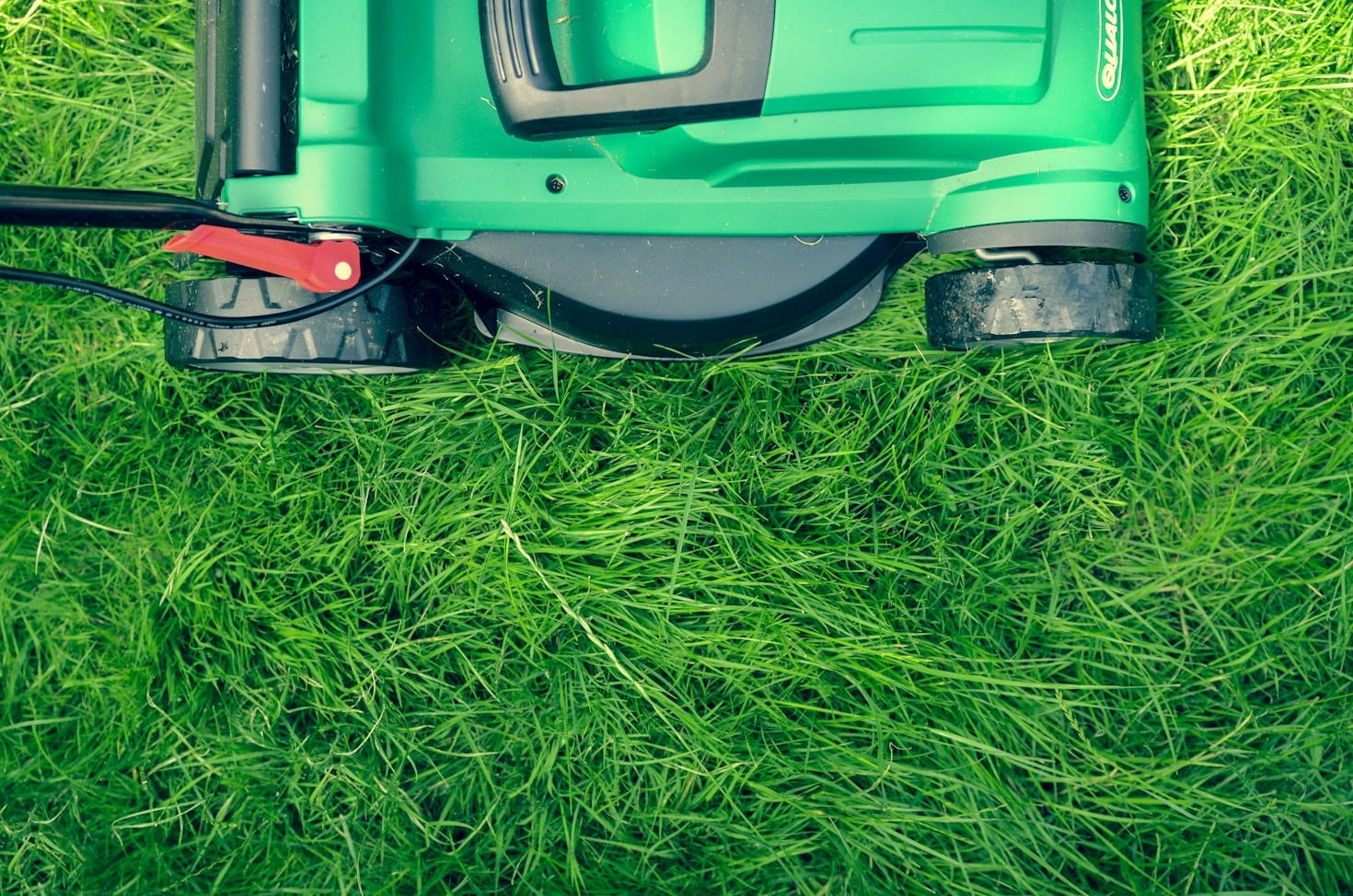 The Importance of Fertilization for a Vibrant Yard
