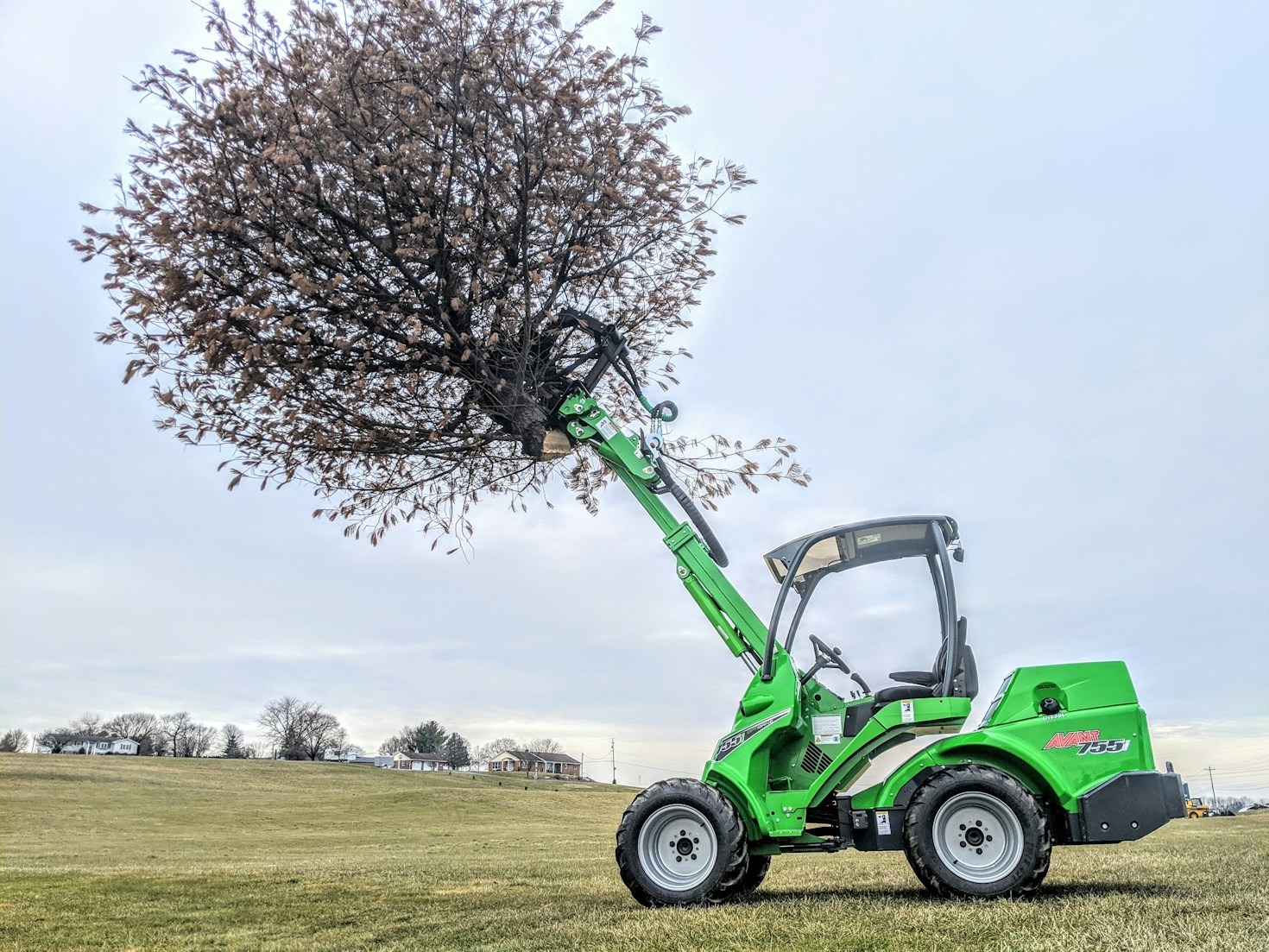 Seasonal Lawn Care: What to Do and When